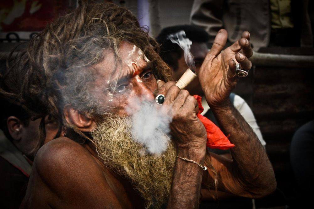 Курить марихуану в индии деревенская конопля